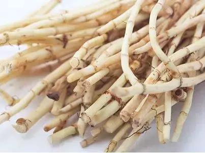 这些药便宜又实用,这几个中医药方子值得收藏