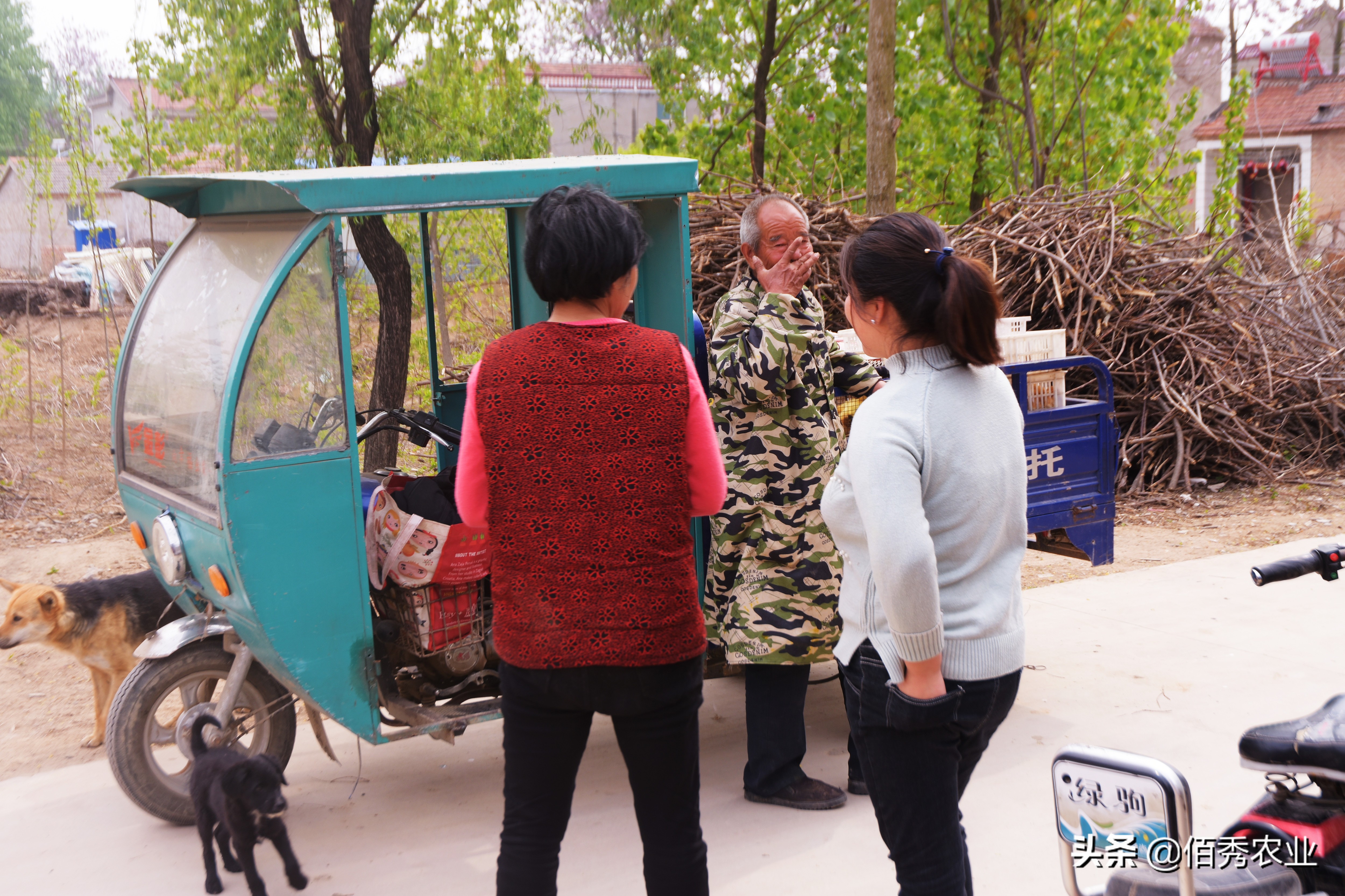 有没有大型养殖公司找农户合作的,有正规的合作养鸡包回收的公司吗