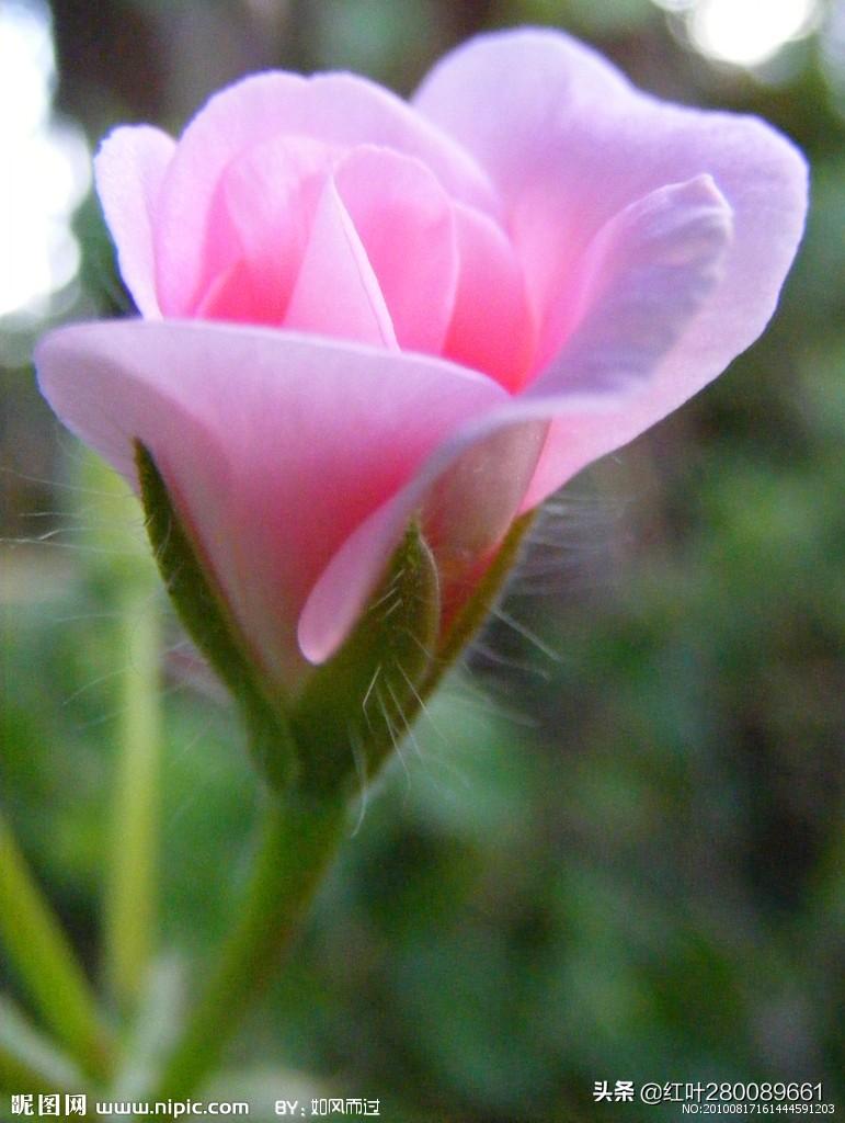 如何缓解职场压力和焦虑情绪,如何缓解职场压力导读