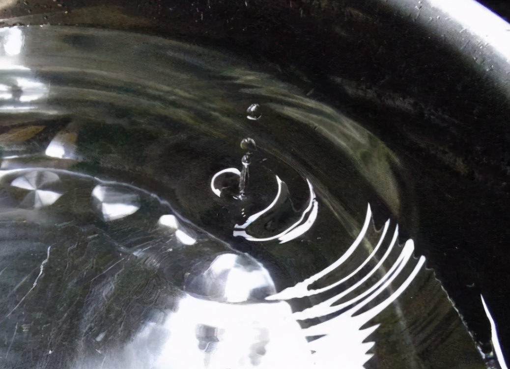 新买的富贵竹枝干，水培迟迟不生根，该怎么解决？