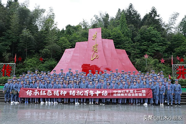 中信红木最新排名,中信红木官网