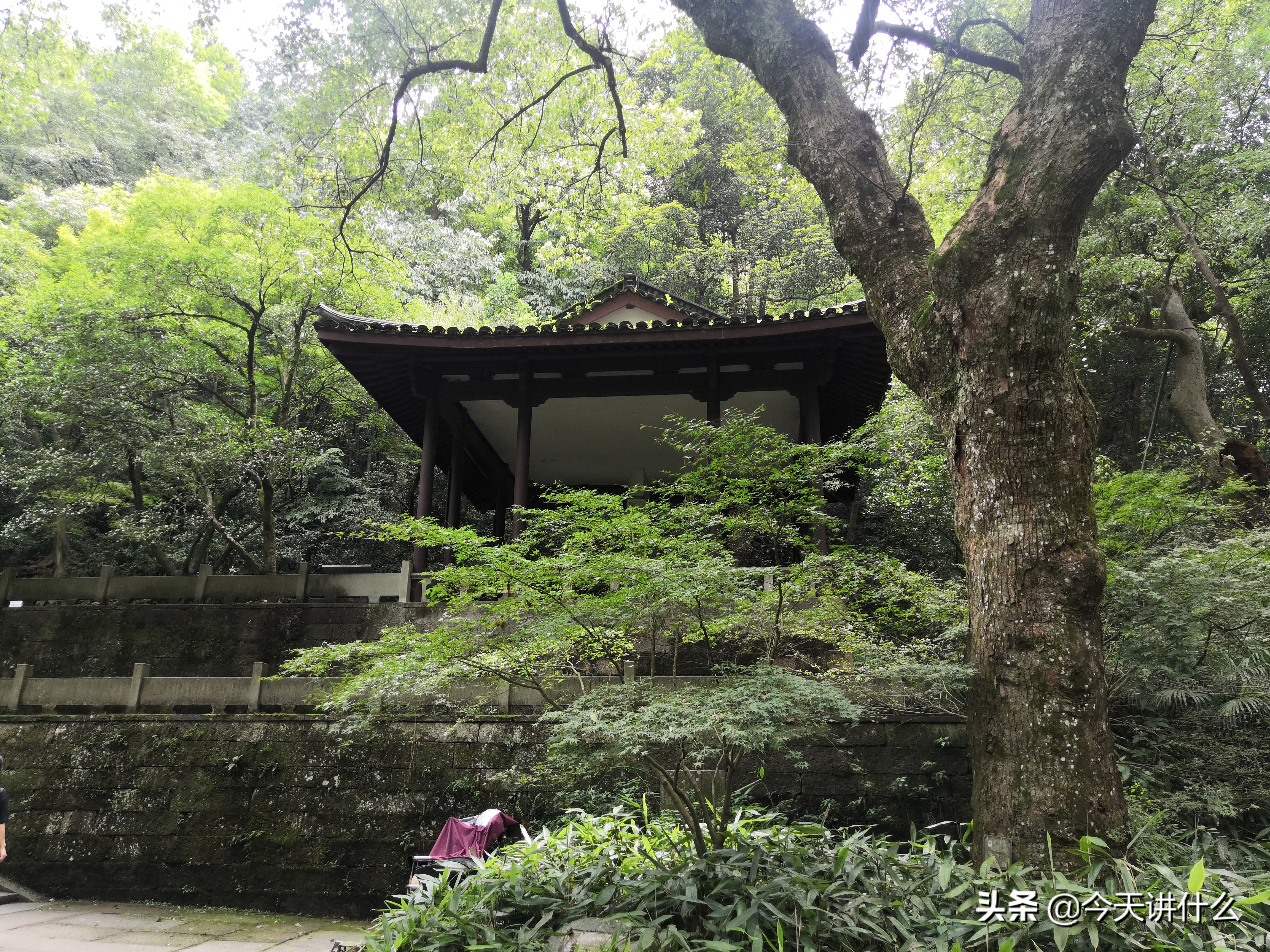 云栖竹径徒步路线图,龙坞茶村和云栖竹径