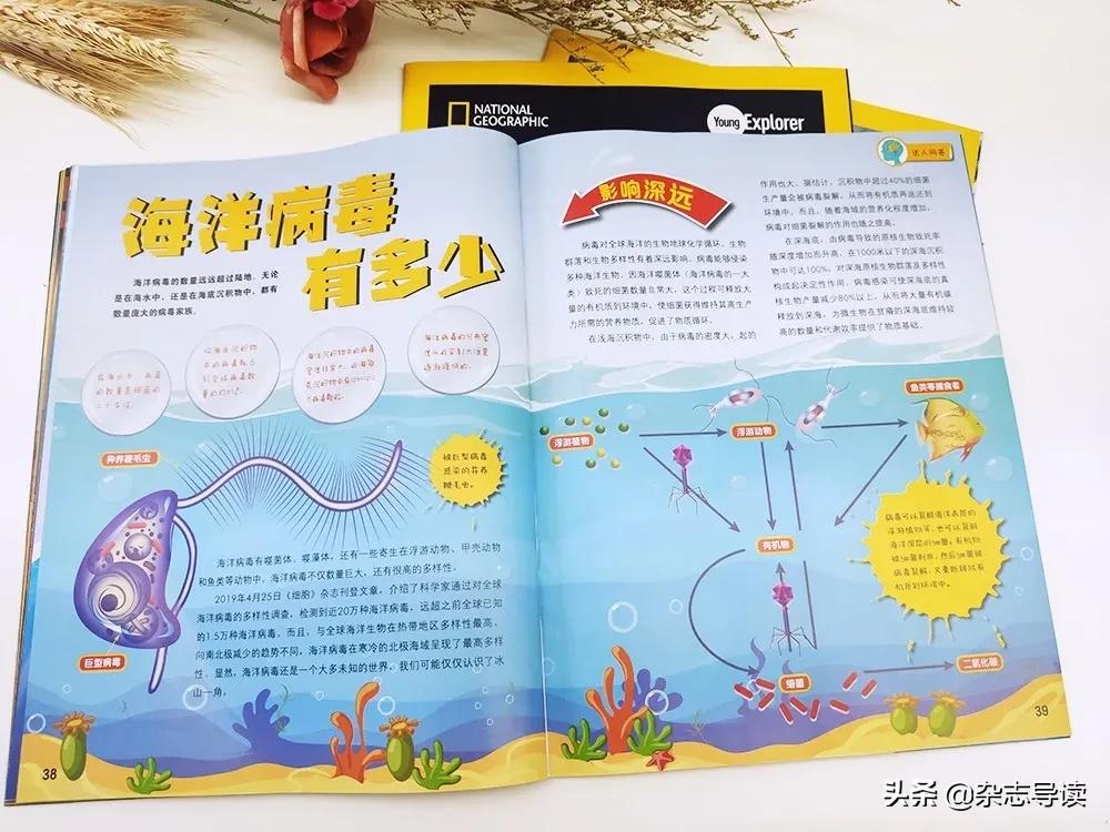 孩子必读的科普读物,哪些适合小学生看的科普杂志