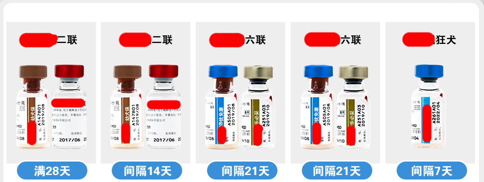 狗打完疫苗狗咬了人还用打疫苗吗,小孩被狗咬了打了疫苗会不会有事