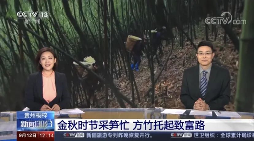 九坝生态休闲度假区团购,九坝生态度假园