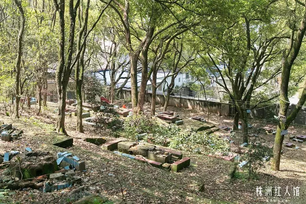 株洲神农公园的传说,株洲神农公园游览图