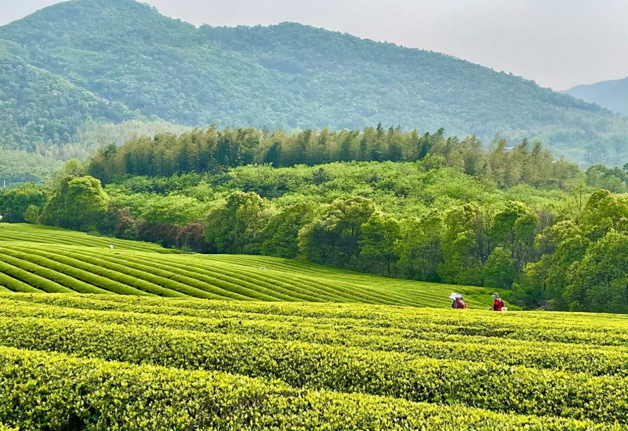 又一新晋网红打卡地,新晋绝美打卡地