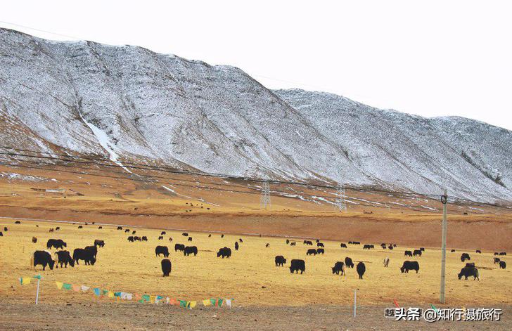 一路前行到西藏,一路前行的自驾游