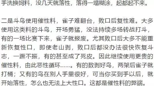 画眉饲料中的小米怎么样处理,画眉除了饲料可以喂什么料