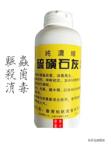 怎么养黑松盆景,触类旁通的正确用法