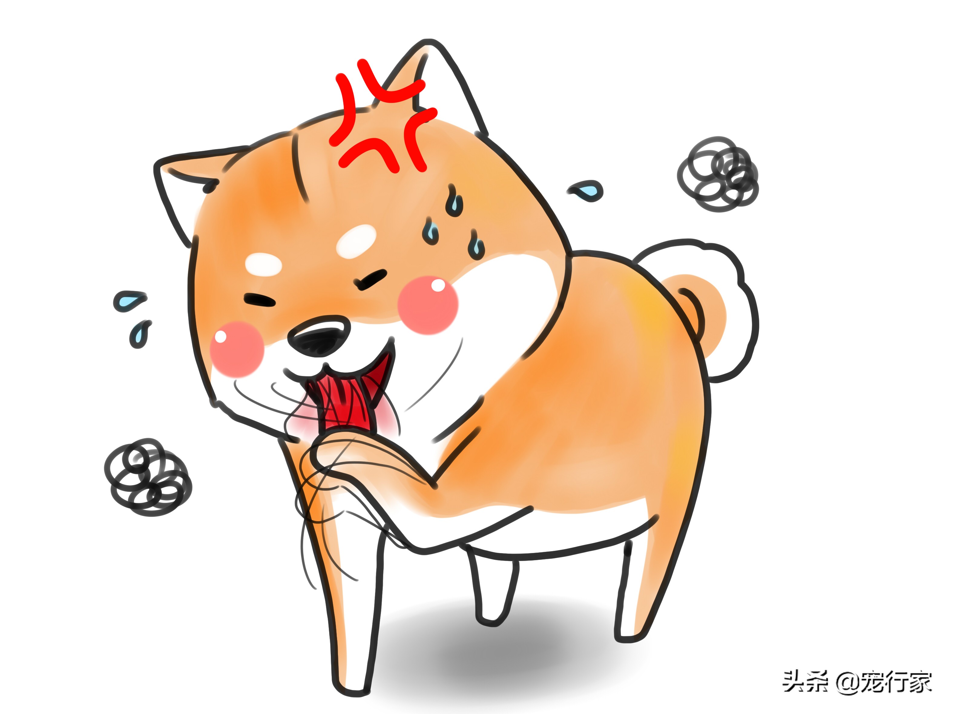 狗狗爪子指甲根部出血了怎么办,狗狗爪子受伤红肿怎么处理