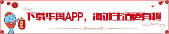 伦敦关闭网约车,伦敦网约车最新信息