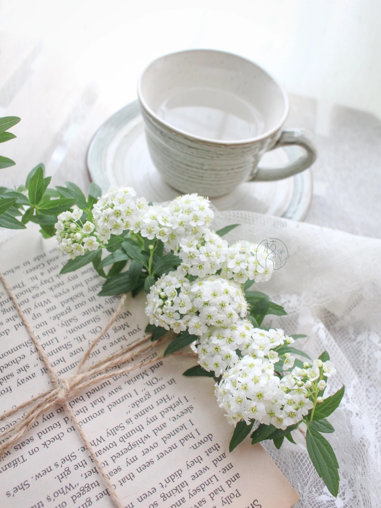 植库‖浪漫清新的小手球，为你带来氧气小森林