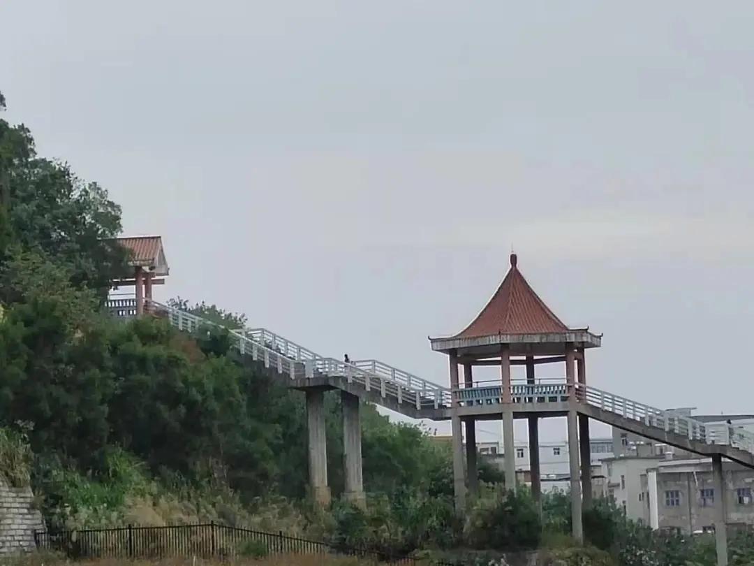 福建师大福清分校,师大福清分校