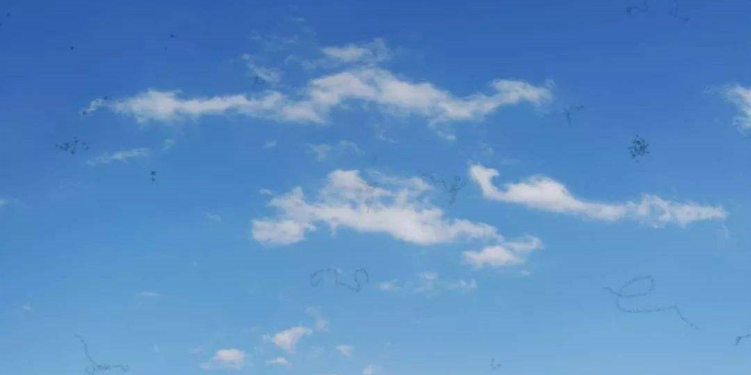 得了飞蚊症能喝酒吗,老年人得了飞蚊症