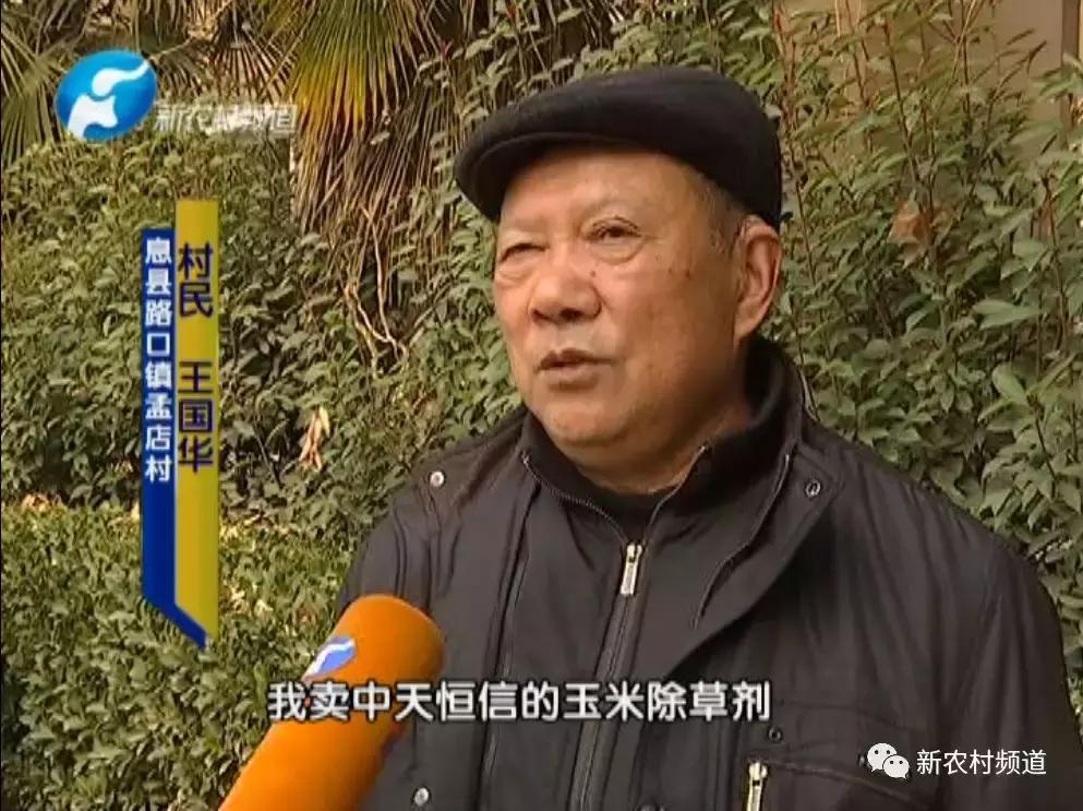 玉米除草剂药害玉米减产吗,玉米受药害减产吗