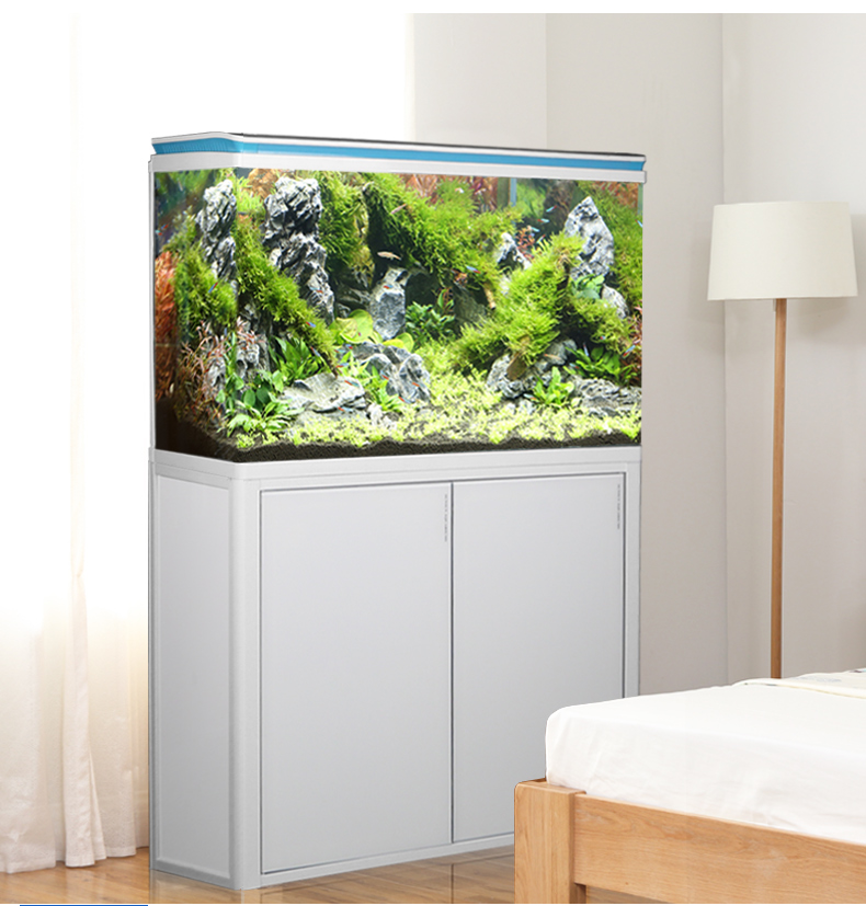 水族入门,养鱼新手入门过滤器推荐