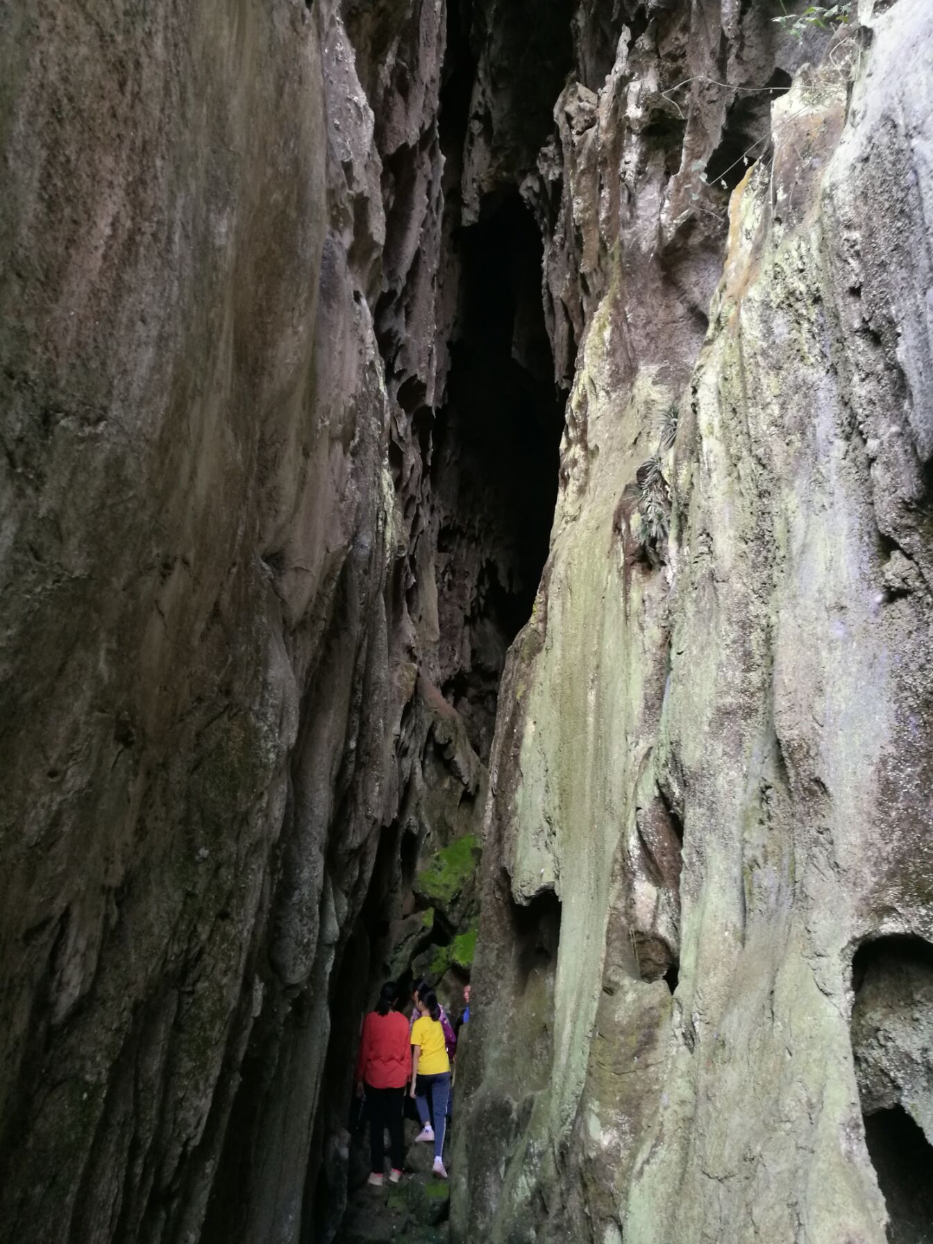 南宁隐藏的景点,南宁周边农家乐游玩景点推荐