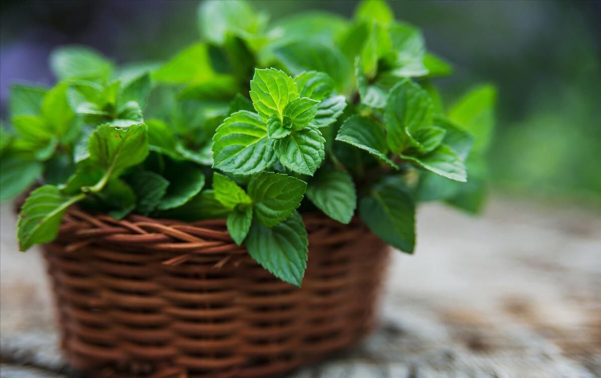 干燥症引起的干眼能治好吗,干眼病和干燥综合征区别