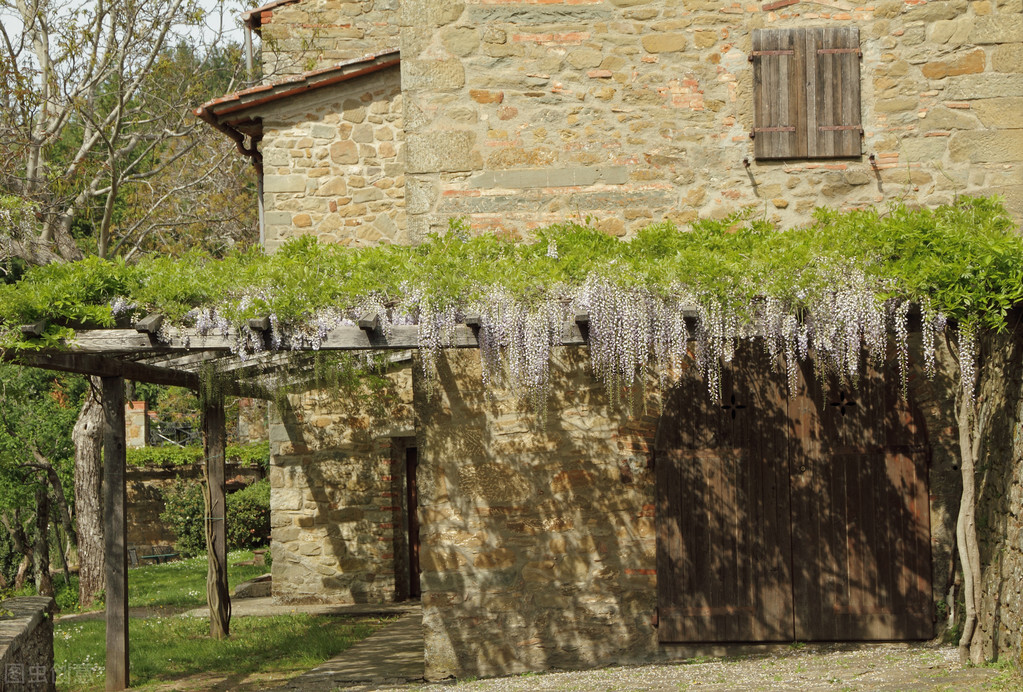 庭院花架怎样搭最便宜,庭院花架高度有什么讲究