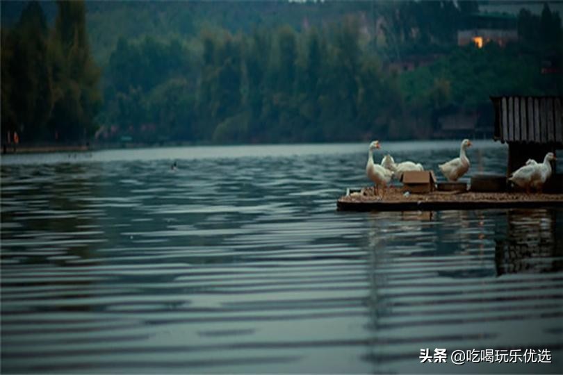 深圳观澜山水田园游,深圳观澜湖山水田园旅游文化园