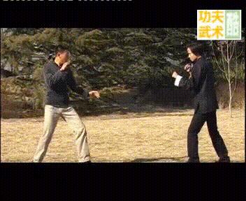 经典武术格斗技巧,各种武术格斗技巧