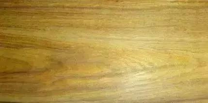 柴木是什么树种,柴木是什么