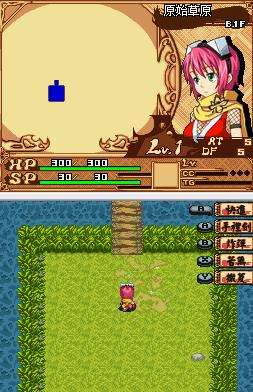 我心目中的经典小游戏,nds游戏评测