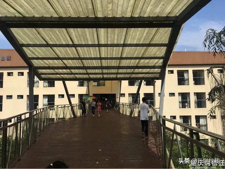 重庆这所中学堪称“低进高出”的典范，升本率高达38%