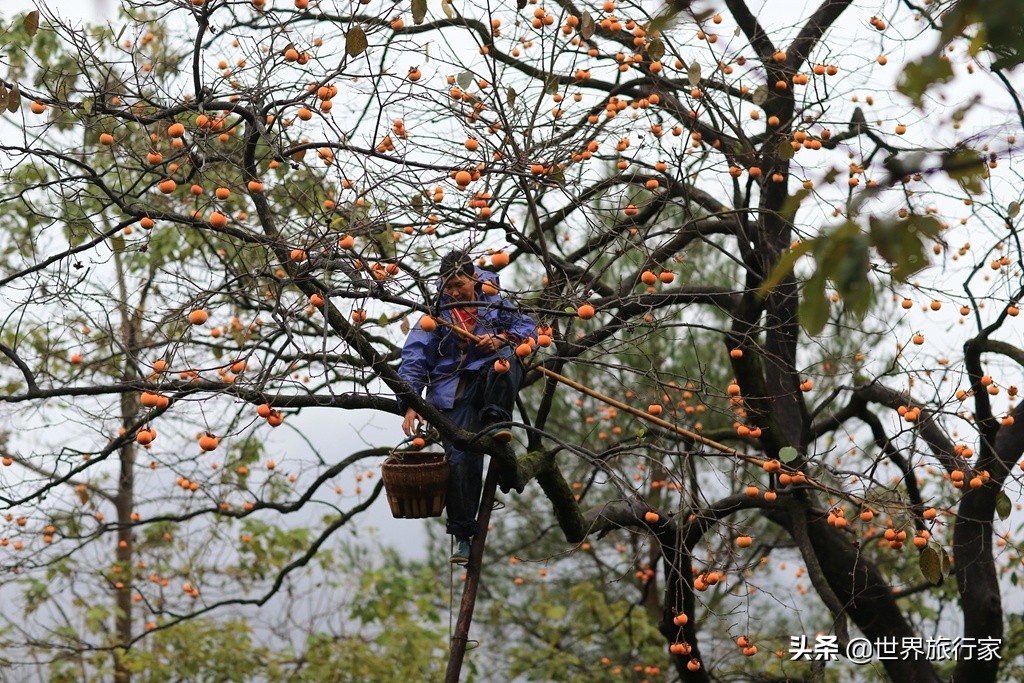 三里畈泡温泉介绍,三里畈温泉度假村泡温泉多少钱