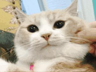 混油混干春夏适合的粉底液,最适合的粉底液色号