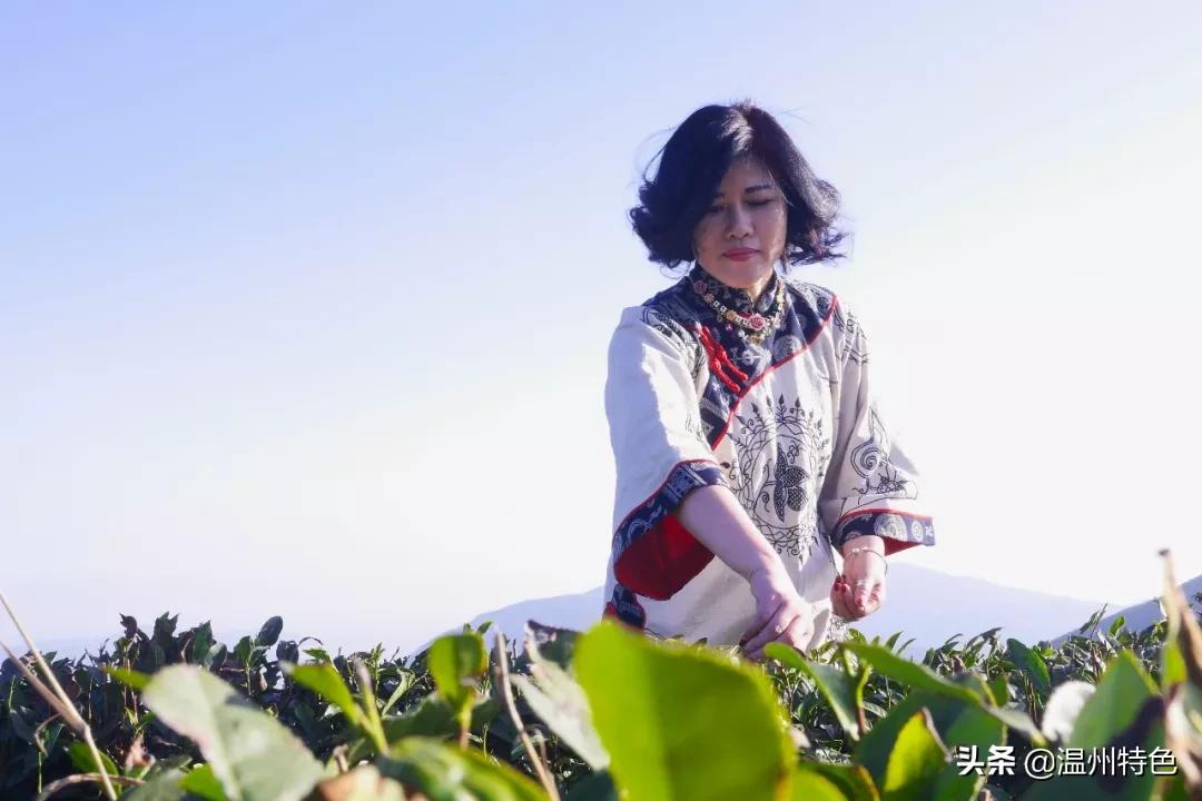 温州知名女企业家陈爱淘,温州女企业家陈爱陶什么病