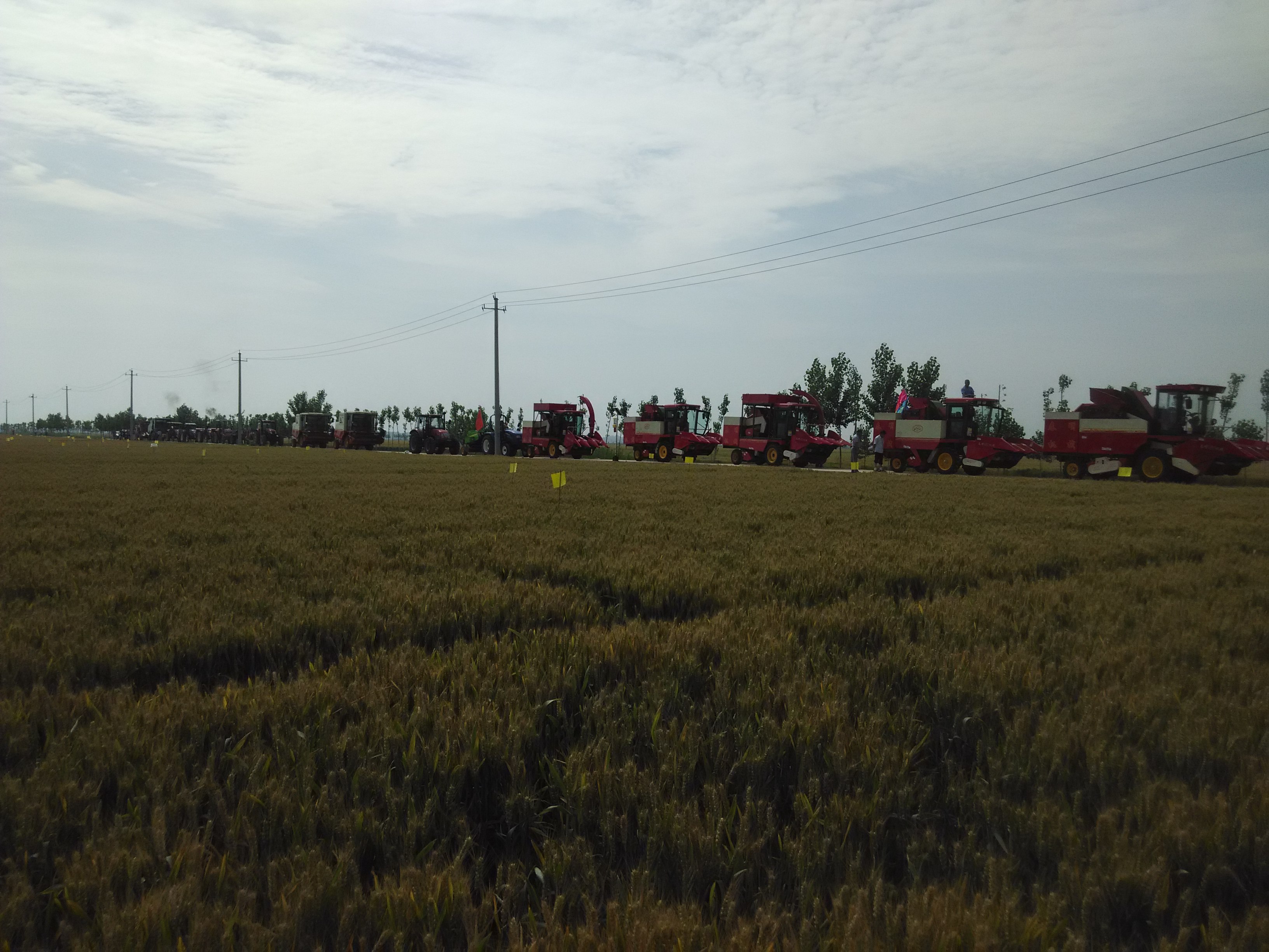 忘不了的童年味道面包,忘不了的童年味道与记忆