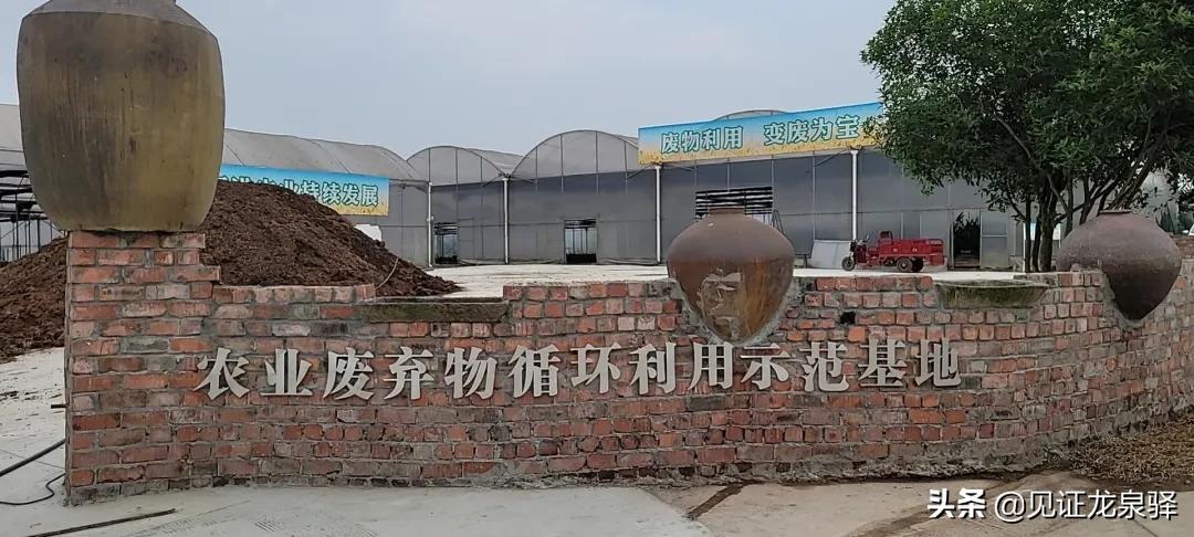 秸秆还田变肥料,如何利用秸秆做有机肥