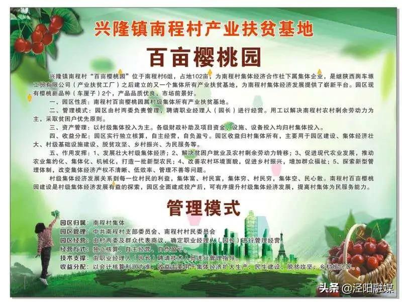 泾阳大樱桃,吃樱桃需要关注哪些事项