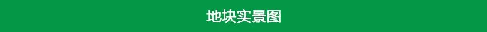 郴州6.18亿土拍,郴州高新区最新土地拍卖公告