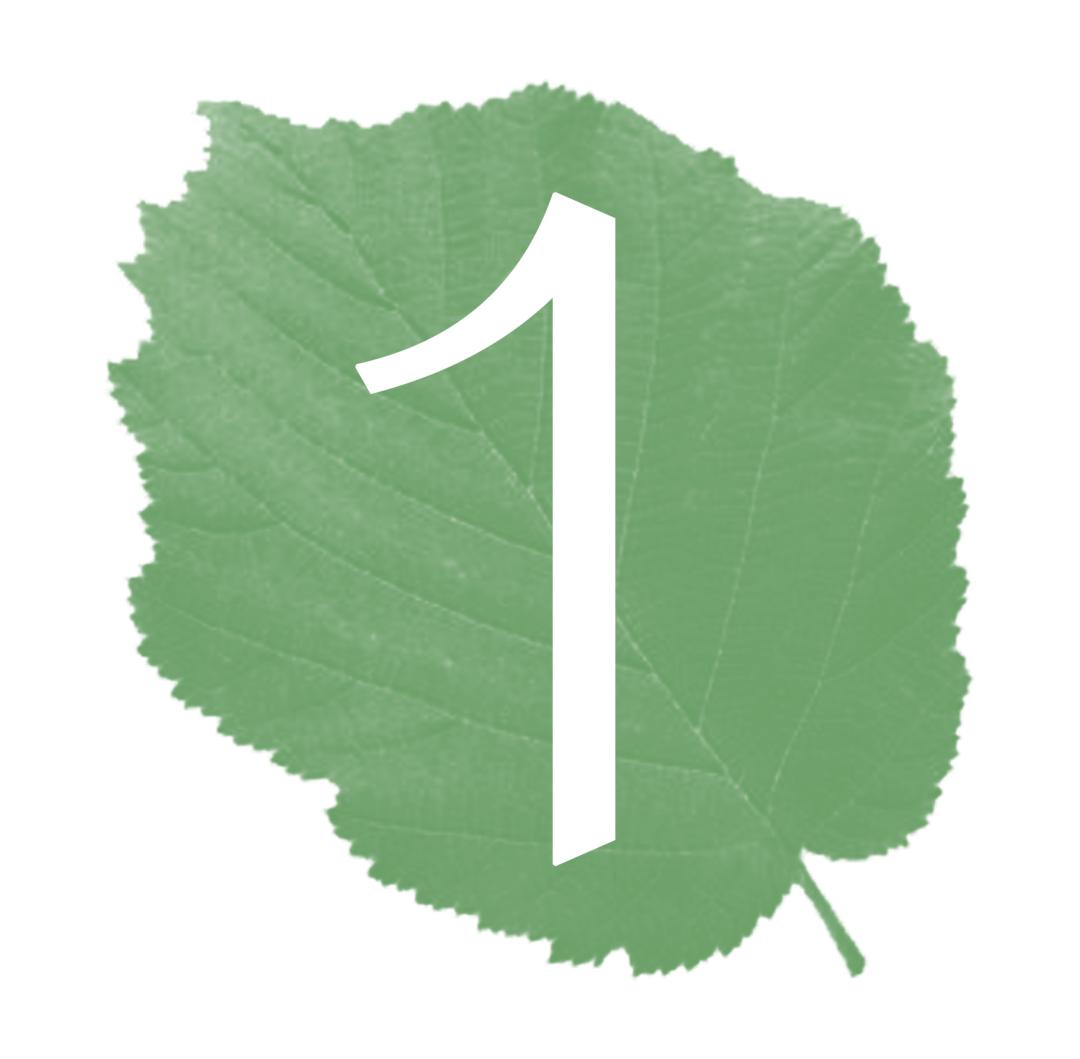 300+万㎡原始森林秘境，天河就有