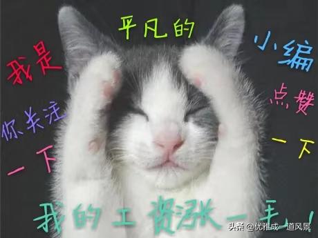 辽宁的岫岩玉,辽宁玉都岫岩产什么玉
