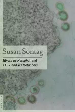 2000词汇量的英文原著,收藏前十小说