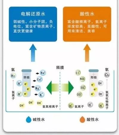 电解质水详细介绍,电解水详细原理