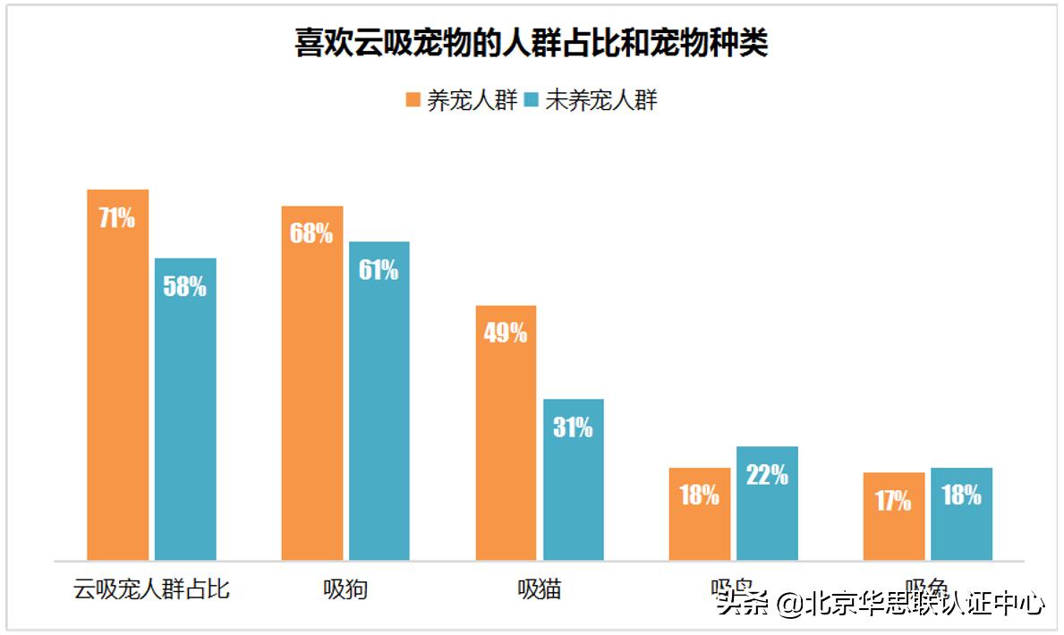 宠物电商为什么没有爆发,宠物行业电商市场