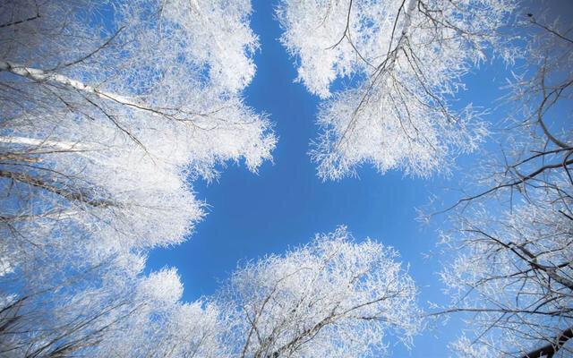 惨死街头的流浪汉,乞丐临死前写下一首诗
