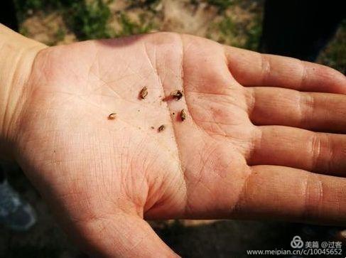 女皇欲长留秋延龙池沟