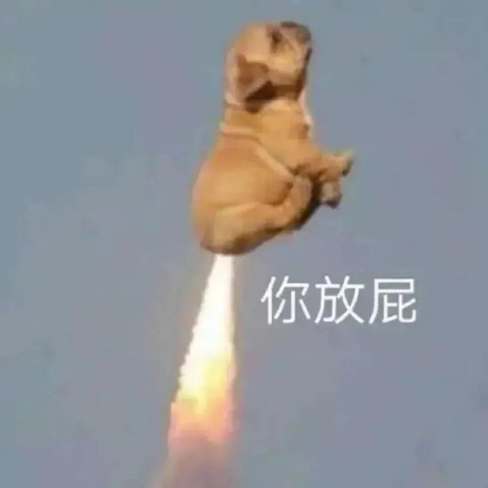 今晚有空吗表情包,小白菜今晚上有空吗表情包