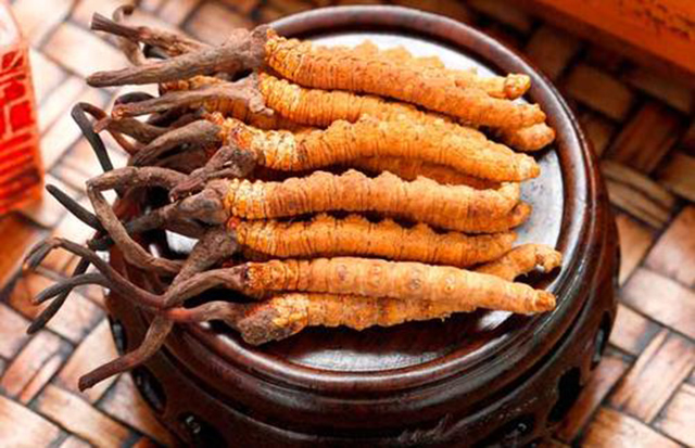 冬虫夏草神药走下神坛,冬虫夏草是神药