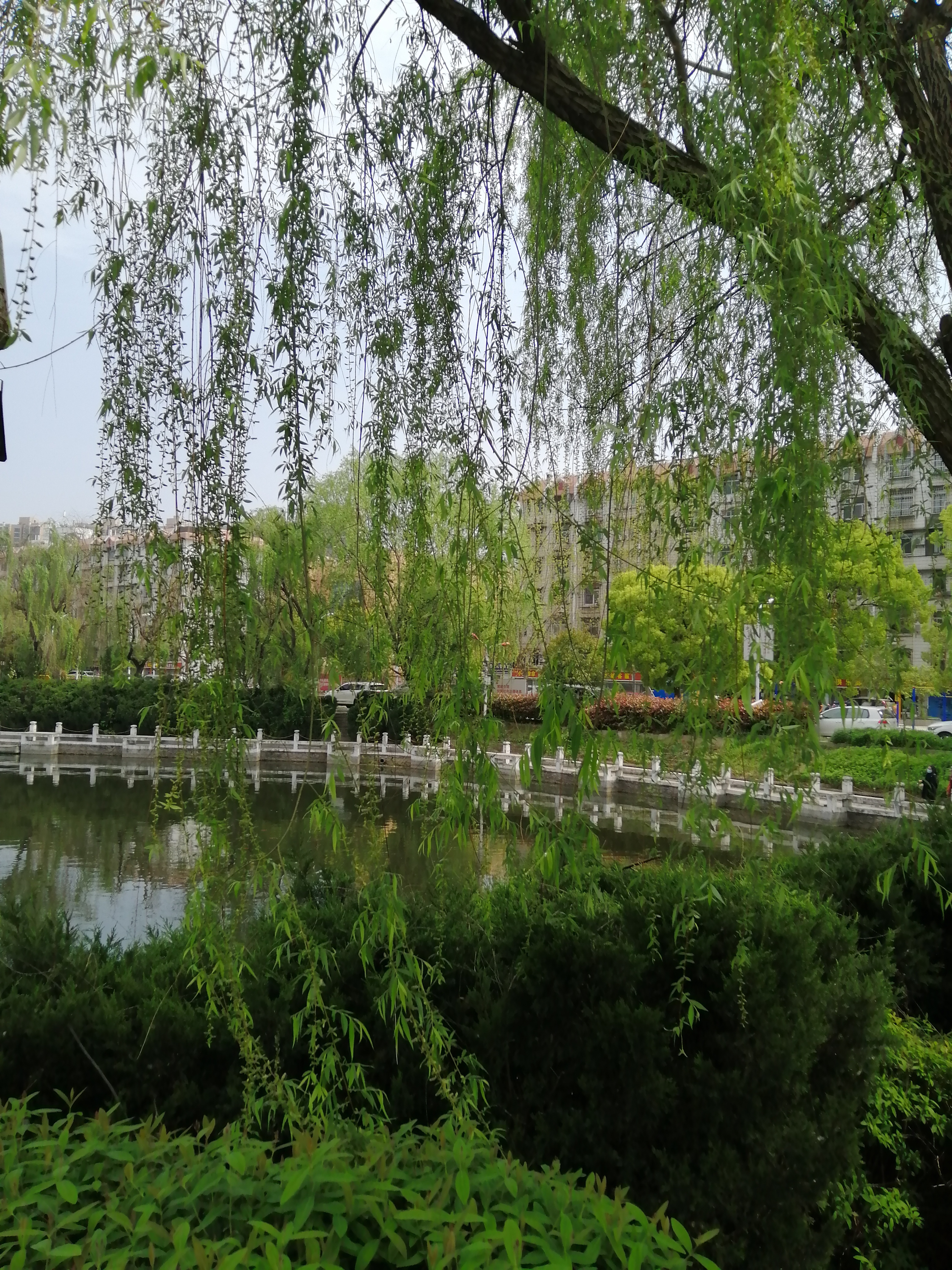 首个示范小区,全国示范小区现状