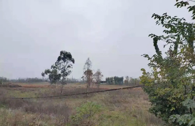 无任何鉴定依据中证造价成都公司涉嫌虚假鉴定