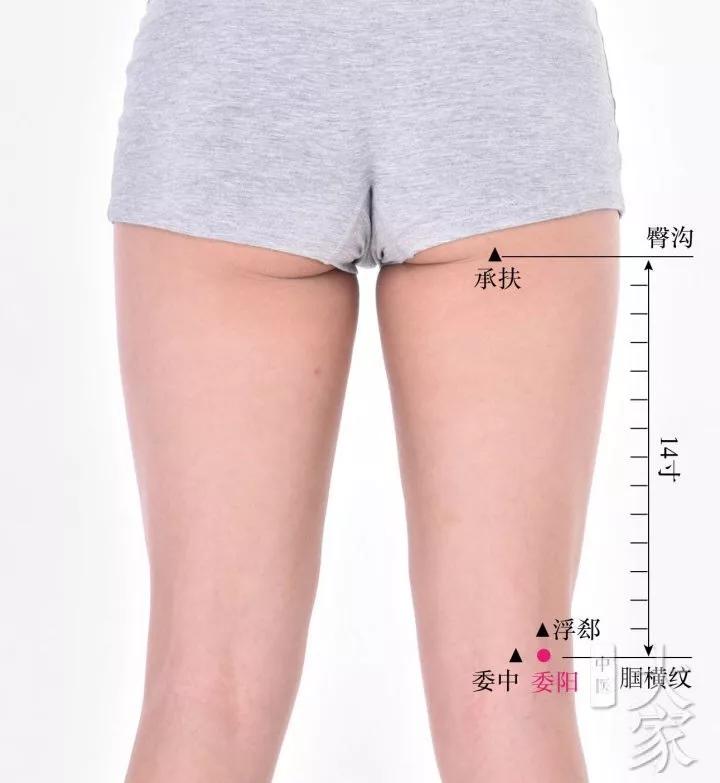 徐文兵：高跟鞋-腰腿和生殖系统健康的杀手