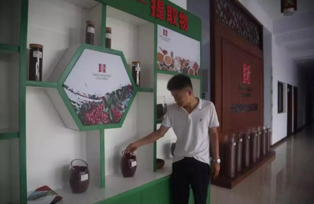 韩城椒商经销商怎么样,韩城椒商