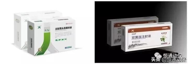 猪口蹄疫苗的关注事项,牛口炎和口蹄疫及水疱病的区别